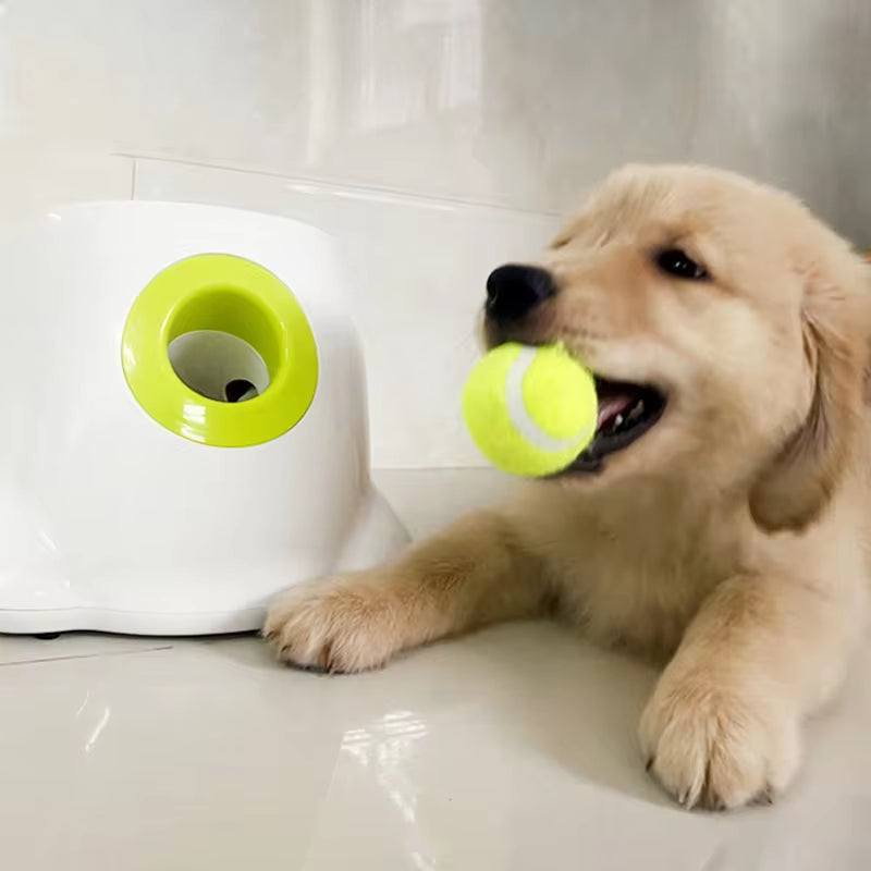 Unleash the Fun! Automatic Ball Launcher for Dogs - Perfect for Playtime with Your Pitbull! 🎾🐾